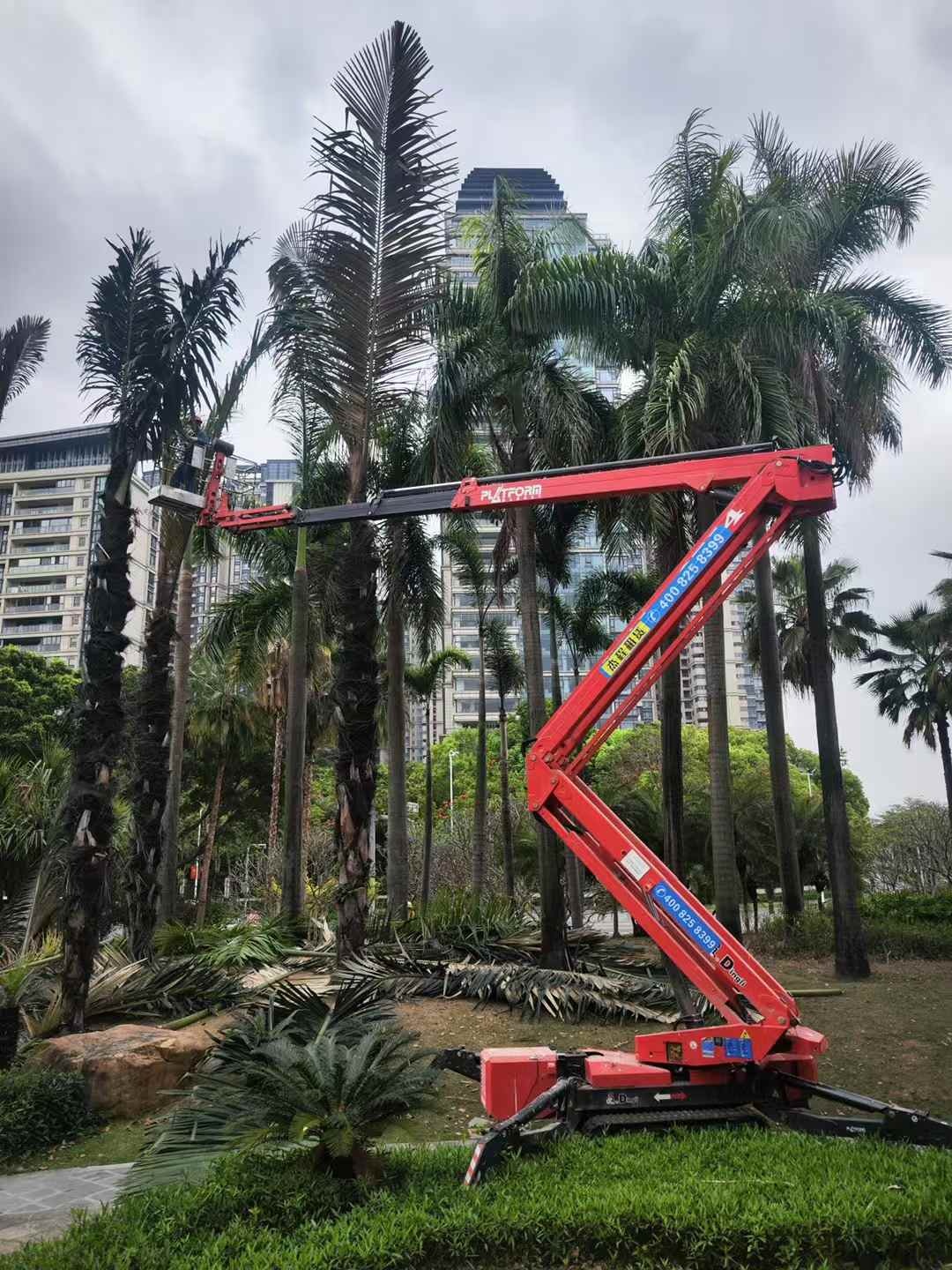 蜘蛛车出租公司推荐